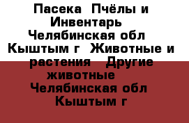 Пасека, Пчёлы и Инвентарь - Челябинская обл., Кыштым г. Животные и растения » Другие животные   . Челябинская обл.,Кыштым г.